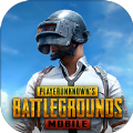 pubg mobile体验服版